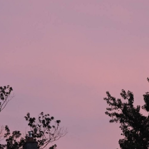 小孩半夜喂姐姐吃睾丸
